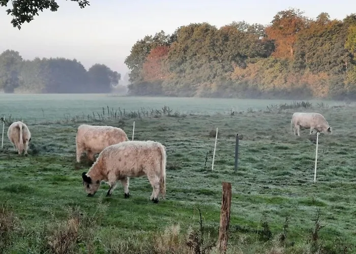 05 Premium Pod Gröde Semesterbostad *